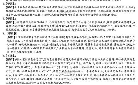 咸阳市2026年高考模拟检测（二）生物答案_2024-2026高三（6-6月题库）_2026年03月高三试卷_260330陕西省咸阳市2026年高考模拟检测（二）（全科）