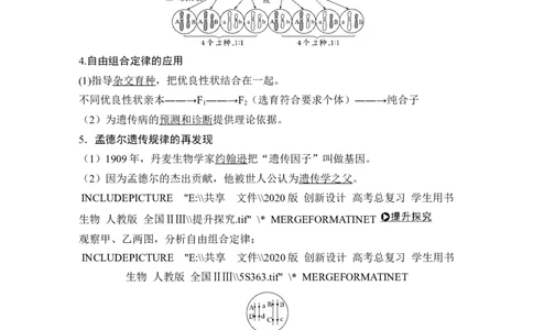 必修二第五单元第14讲_新高考复习资料_2022年新高考复习资料_2022年一轮复习最新版_1.2022年高考生物一轮复习全国通用版_2022年新高考生物一轮复习讲义（最新版）_赠送word习题库