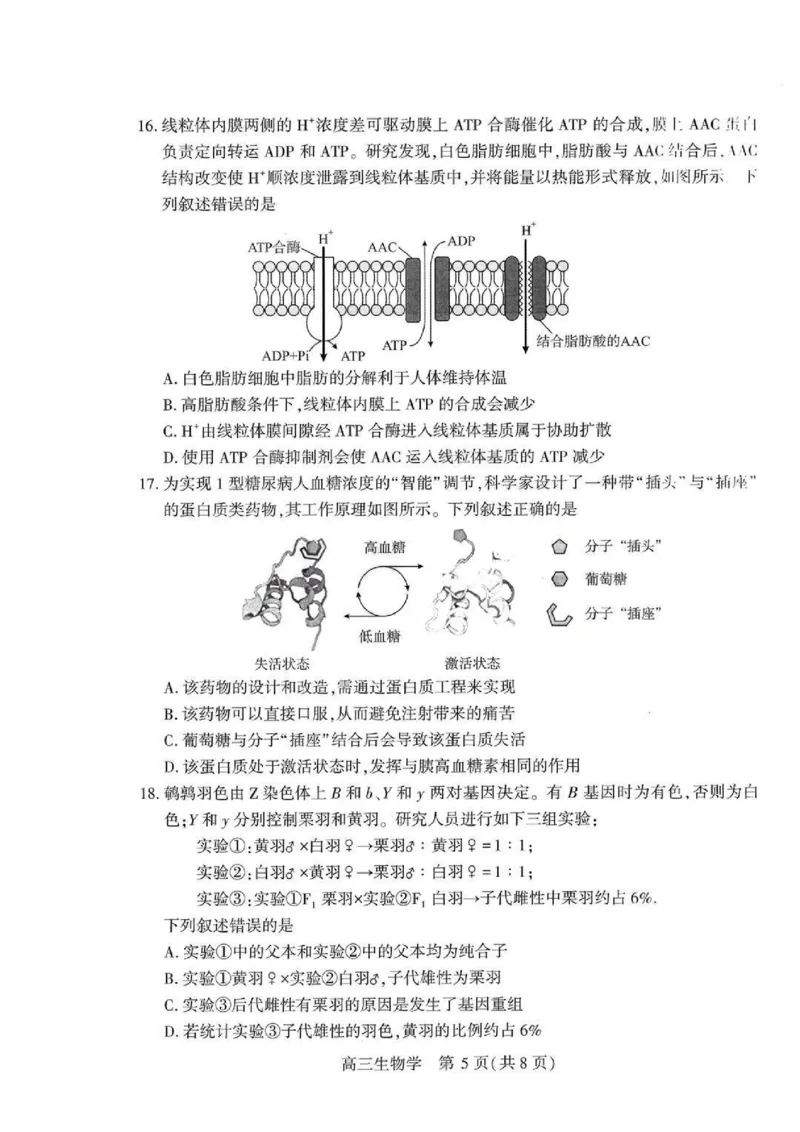 生物试题卷_2024-2026高三（6-6月题库）_2026年04月高三试卷_260430武汉市2026届高三年级四月供题（武汉四调）（全科）