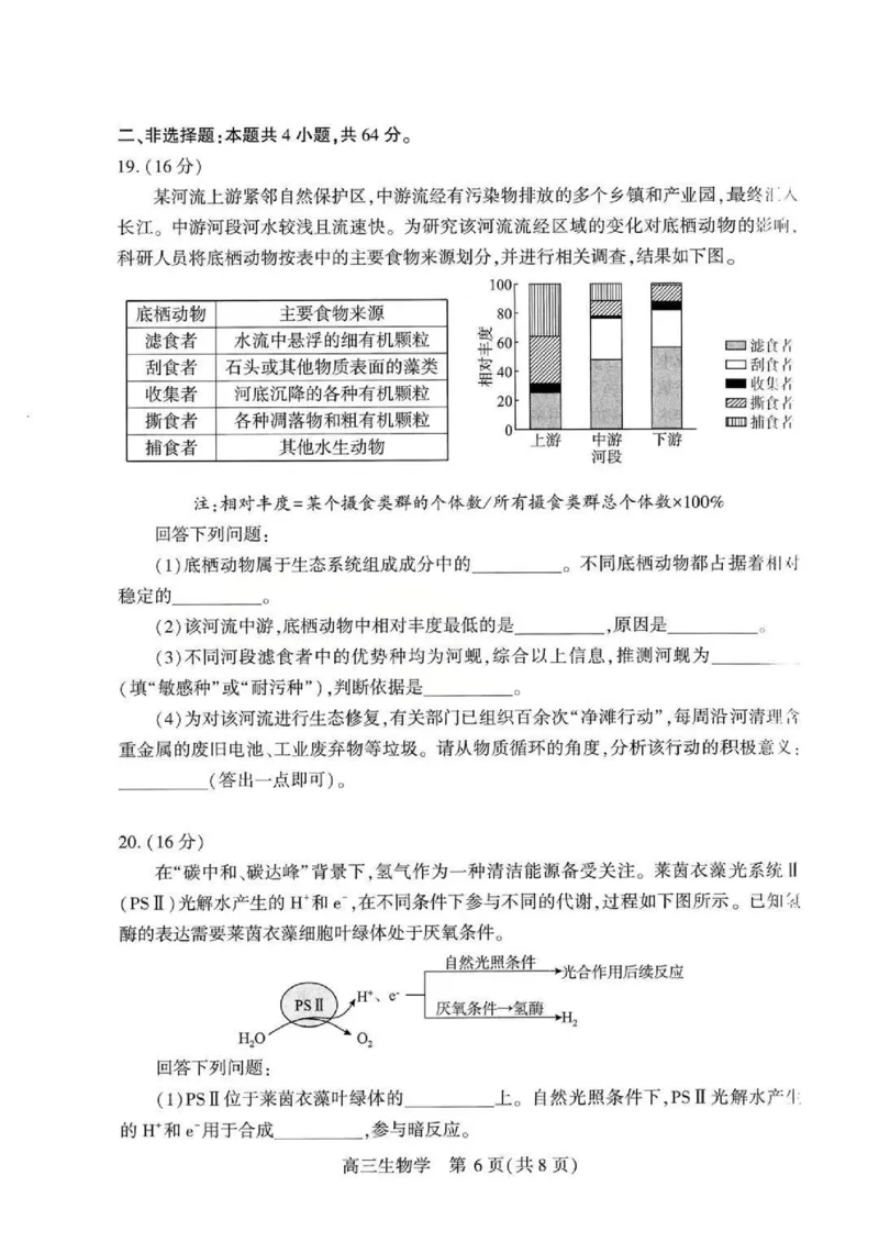 生物试题卷_2024-2026高三（6-6月题库）_2026年04月高三试卷_260430武汉市2026届高三年级四月供题（武汉四调）（全科）