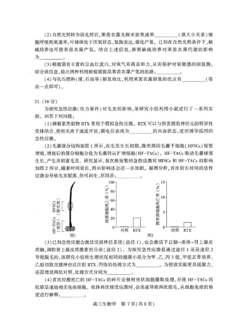 生物试题卷_2024-2026高三（6-6月题库）_2026年04月高三试卷_260430武汉市2026届高三年级四月供题（武汉四调）（全科）