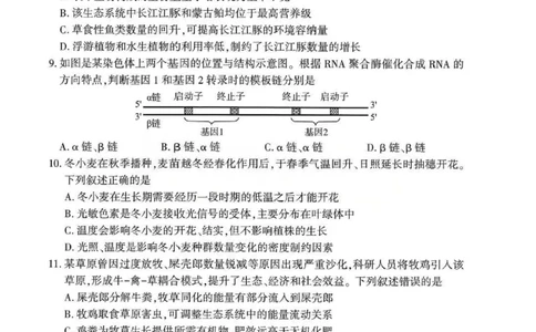 生物试题卷_2024-2026高三（6-6月题库）_2026年04月高三试卷_260430武汉市2026届高三年级四月供题（武汉四调）（全科）