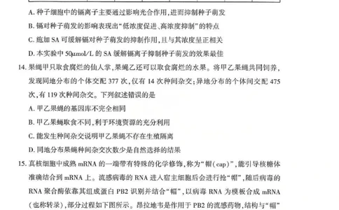 生物试题卷_2024-2026高三（6-6月题库）_2026年04月高三试卷_260430武汉市2026届高三年级四月供题（武汉四调）（全科）