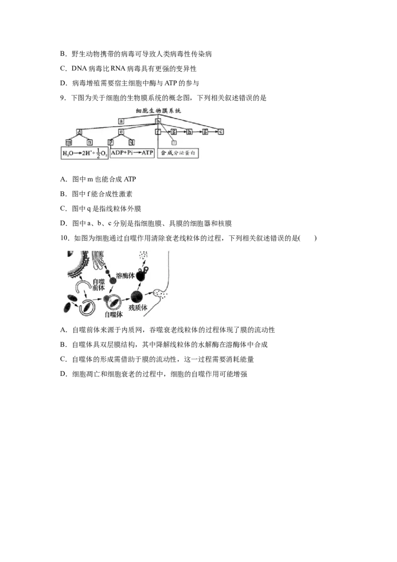 易错点02细胞的结构和功能-2021年高考生物一轮复习易错题（学生版）_新高考复习资料_2023年新高考复习资料_一轮复习_2023年新高考大一轮复习讲义_赠2021年高考生物一轮复习易错题