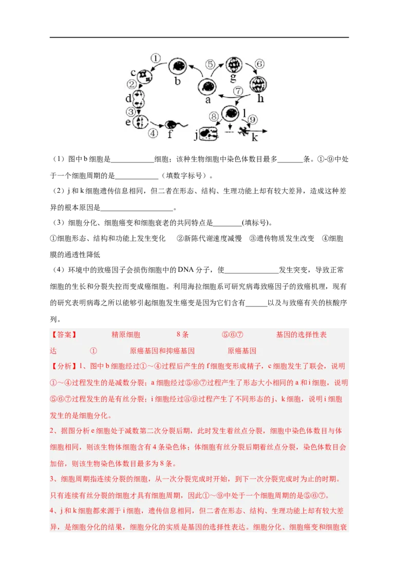 易错点17基因突变和基因重组-备战2023年高考生物考试易错题（新教材新高考）（解析版）_新高考复习资料_2023年新高考复习资料_专项复习