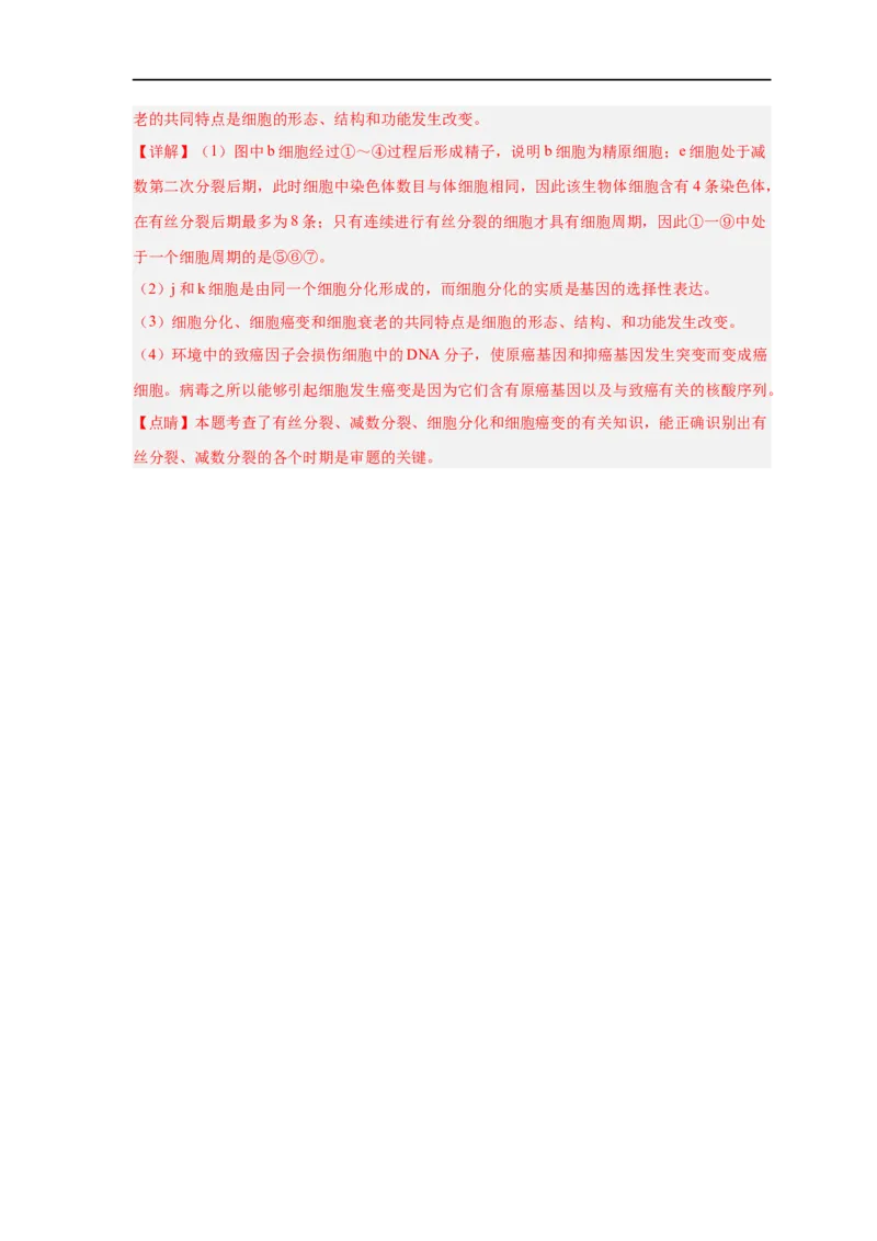 易错点17基因突变和基因重组-备战2023年高考生物考试易错题（新教材新高考）（解析版）_新高考复习资料_2023年新高考复习资料_专项复习