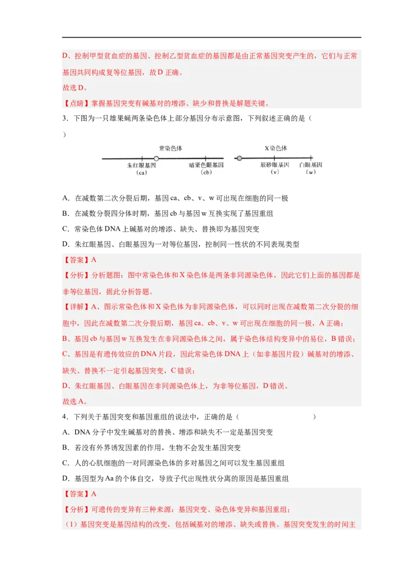 易错点17基因突变和基因重组-备战2023年高考生物考试易错题（新教材新高考）（解析版）_新高考复习资料_2023年新高考复习资料_专项复习