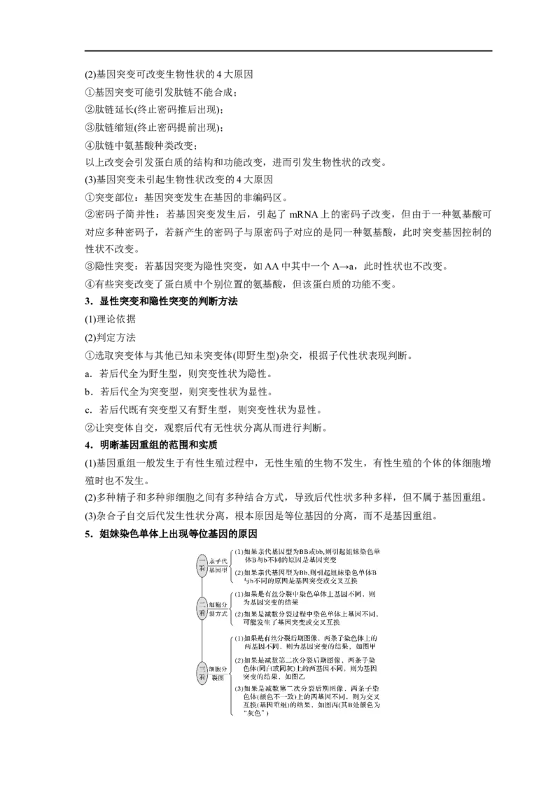 易错点17基因突变和基因重组-备战2023年高考生物考试易错题（新教材新高考）（解析版）_新高考复习资料_2023年新高考复习资料_专项复习