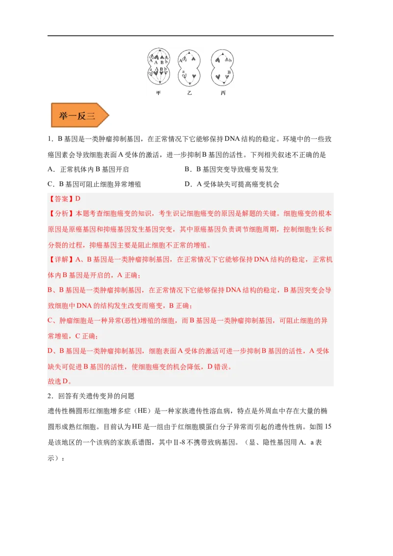 易错点17基因突变和基因重组-备战2023年高考生物考试易错题（新教材新高考）（解析版）_新高考复习资料_2023年新高考复习资料_专项复习