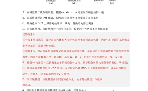 易错点17基因突变和基因重组-备战2023年高考生物考试易错题（新教材新高考）（解析版）_新高考复习资料_2023年新高考复习资料_专项复习