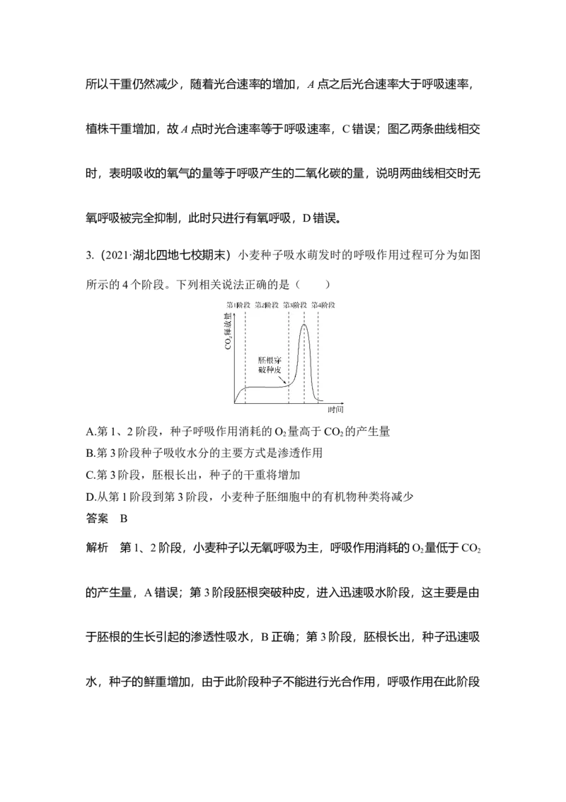 微专题4种子形成与萌发_通用版（老高考）复习资料_2023年复习资料_一轮复习_2023年高考生物一轮复习讲义+课件（全国版）_2023年高考生物一轮复习讲义（全国版）_赠补充习题