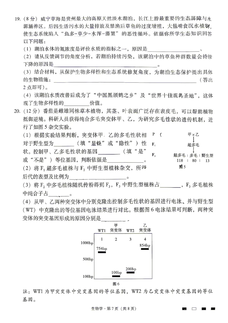 生物试题卷_2024-2026高三（6-6月题库）_2026年04月高三试卷_260422贵州省六校联盟2026届高三年级4月高考实用性联考卷(三)（全科）