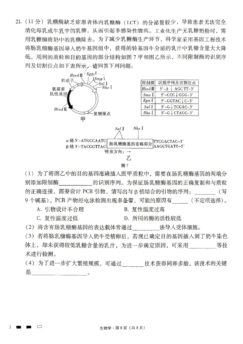 生物试题卷_2024-2026高三（6-6月题库）_2026年04月高三试卷_260422贵州省六校联盟2026届高三年级4月高考实用性联考卷(三)（全科）