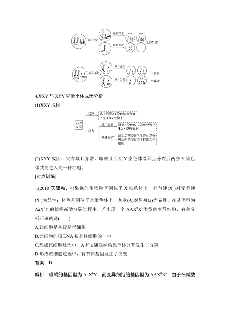 微专题7减数分裂与可遗传变异的关系_通用版（老高考）复习资料_2023年复习资料_一轮复习_2023年高考生物一轮复习讲义+课件（全国版）_2023年高考生物一轮复习讲义（全国版）