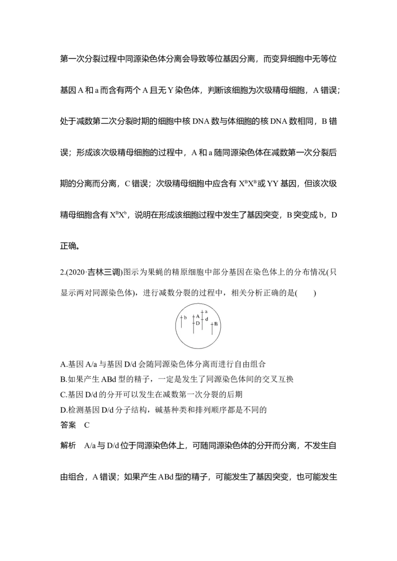 微专题7减数分裂与可遗传变异的关系_通用版（老高考）复习资料_2023年复习资料_一轮复习_2023年高考生物一轮复习讲义+课件（全国版）_2023年高考生物一轮复习讲义（全国版）