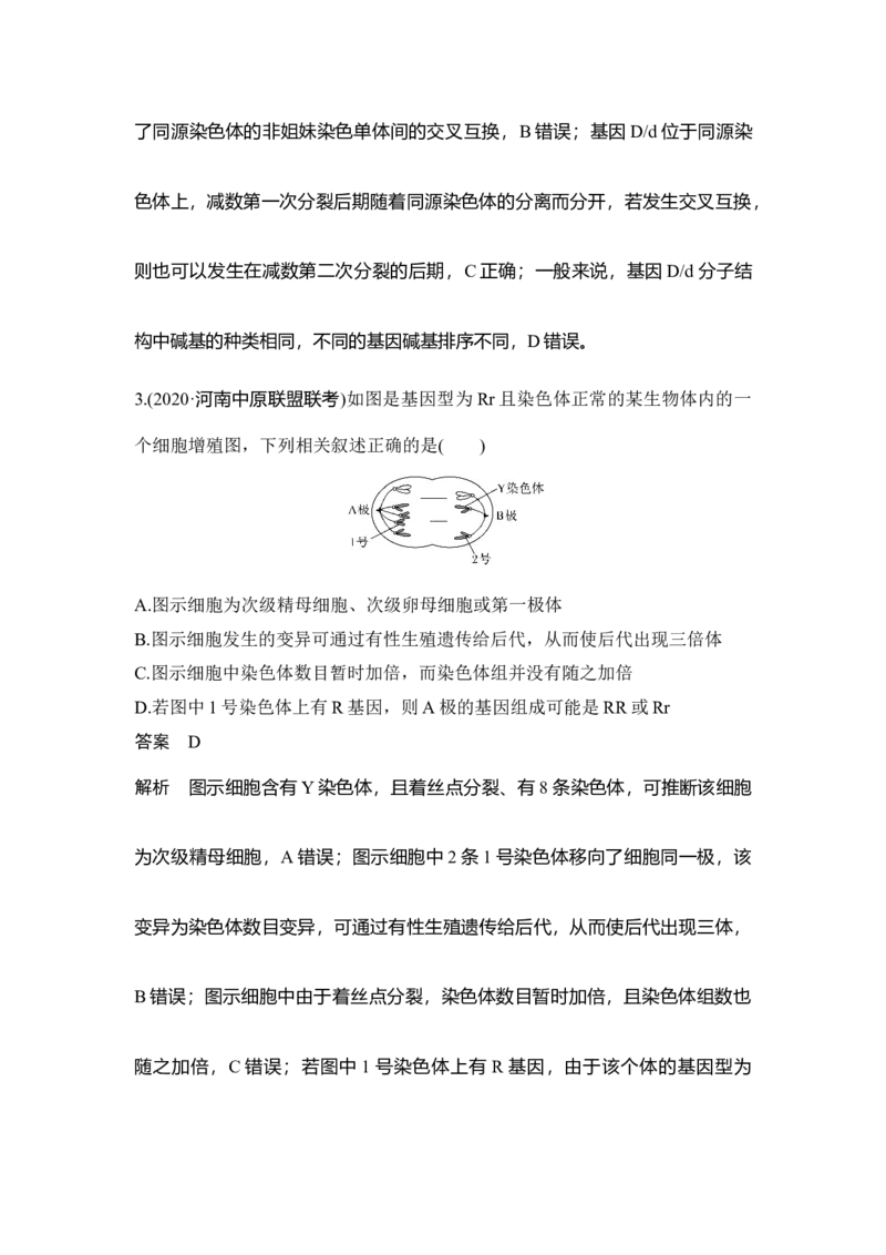 微专题7减数分裂与可遗传变异的关系_通用版（老高考）复习资料_2023年复习资料_一轮复习_2023年高考生物一轮复习讲义+课件（全国版）_2023年高考生物一轮复习讲义（全国版）