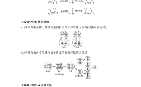 微专题7减数分裂与可遗传变异的关系_通用版（老高考）复习资料_2023年复习资料_一轮复习_2023年高考生物一轮复习讲义+课件（全国版）_2023年高考生物一轮复习讲义（全国版）