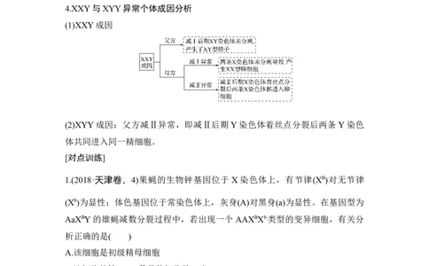 微专题7减数分裂与可遗传变异的关系_通用版（老高考）复习资料_2023年复习资料_一轮复习_2023年高考生物一轮复习讲义+课件（全国版）_2023年高考生物一轮复习讲义（全国版）