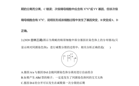 微专题7减数分裂与可遗传变异的关系_通用版（老高考）复习资料_2023年复习资料_一轮复习_2023年高考生物一轮复习讲义+课件（全国版）_2023年高考生物一轮复习讲义（全国版）