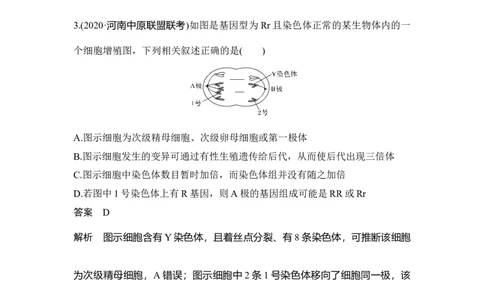 微专题7减数分裂与可遗传变异的关系_通用版（老高考）复习资料_2023年复习资料_一轮复习_2023年高考生物一轮复习讲义+课件（全国版）_2023年高考生物一轮复习讲义（全国版）