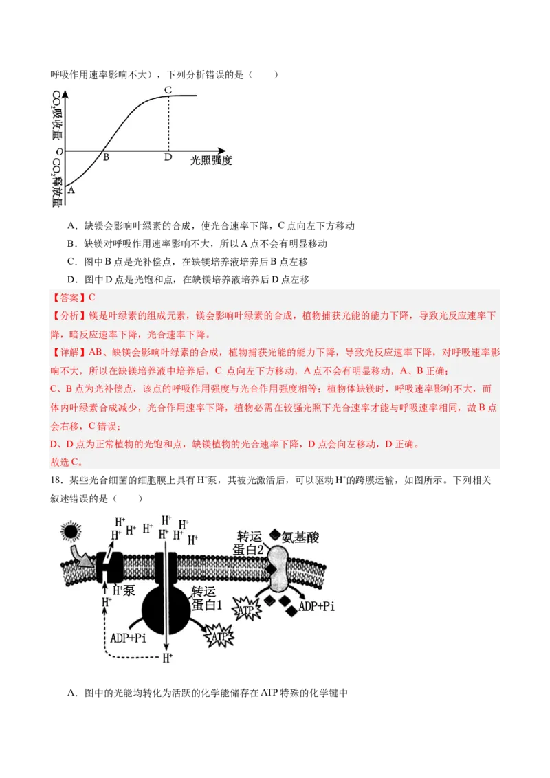必修1模板检测卷（解析版）_2025年新高考资料_一轮复习_2025年高考生物一轮复习考点通关卷（新高考通用）_必修1模板检测卷-2025年高考生物一轮复习考点通关卷（新高考通用）