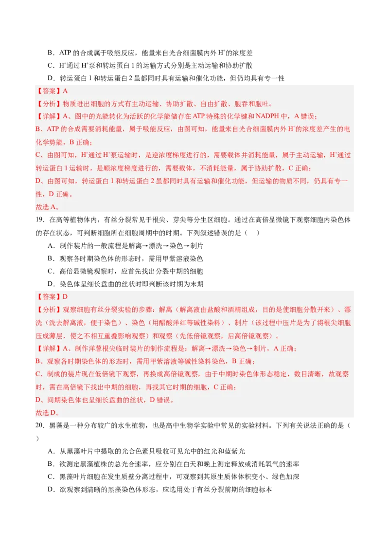 必修1模板检测卷（解析版）_2025年新高考资料_一轮复习_2025年高考生物一轮复习考点通关卷（新高考通用）_必修1模板检测卷-2025年高考生物一轮复习考点通关卷（新高考通用）