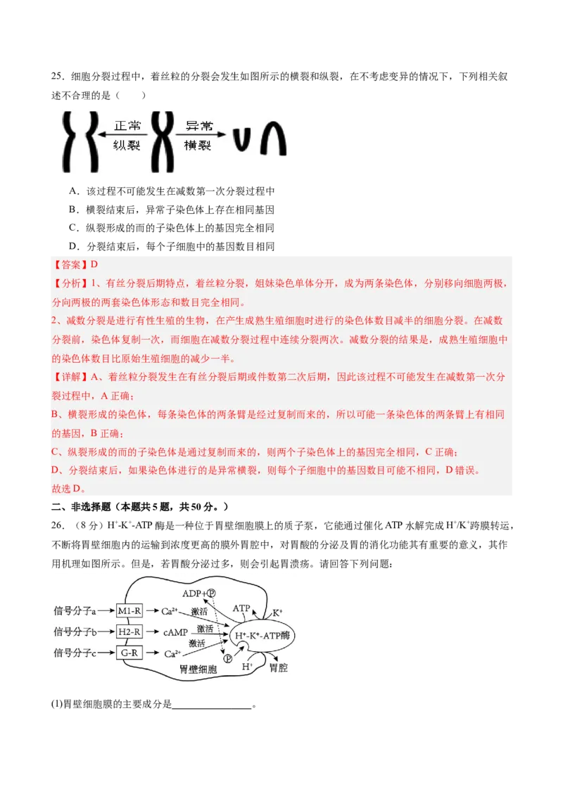 必修1模板检测卷（解析版）_2025年新高考资料_一轮复习_2025年高考生物一轮复习考点通关卷（新高考通用）_必修1模板检测卷-2025年高考生物一轮复习考点通关卷（新高考通用）