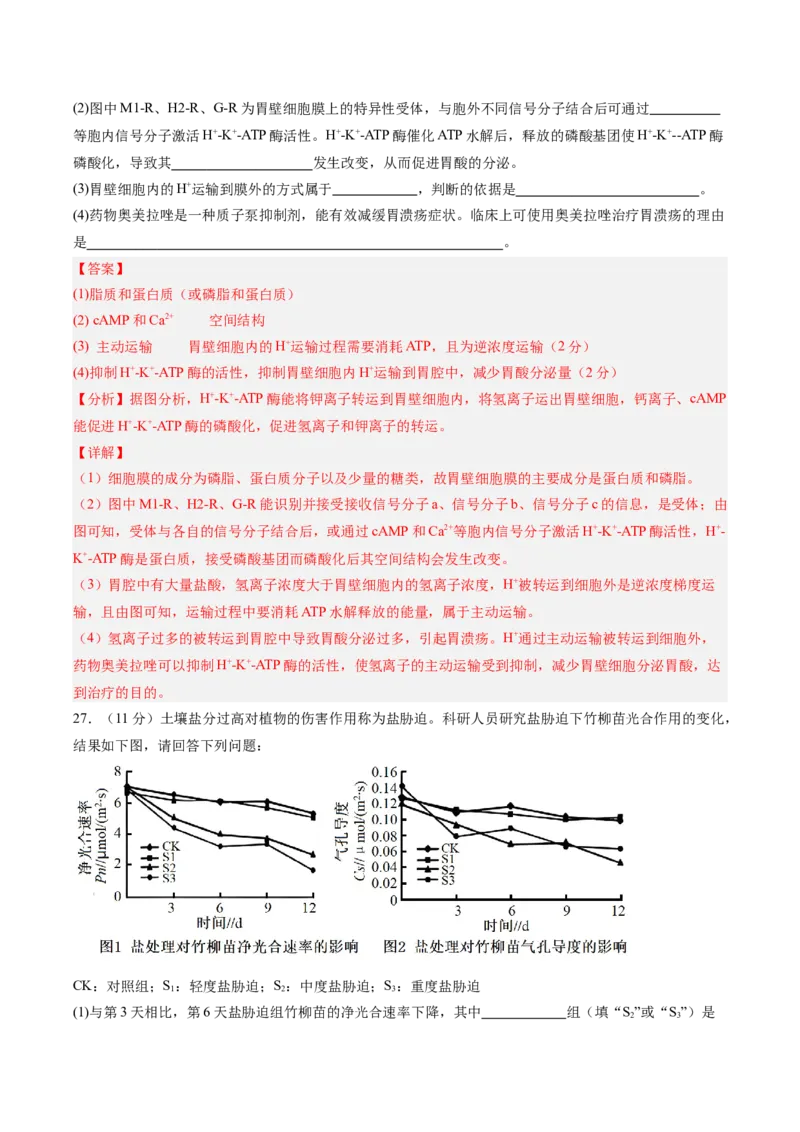 必修1模板检测卷（解析版）_2025年新高考资料_一轮复习_2025年高考生物一轮复习考点通关卷（新高考通用）_必修1模板检测卷-2025年高考生物一轮复习考点通关卷（新高考通用）
