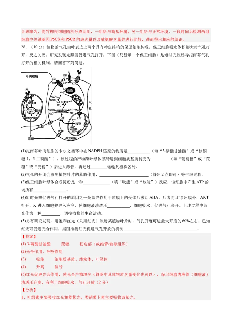 必修1模板检测卷（解析版）_2025年新高考资料_一轮复习_2025年高考生物一轮复习考点通关卷（新高考通用）_必修1模板检测卷-2025年高考生物一轮复习考点通关卷（新高考通用）