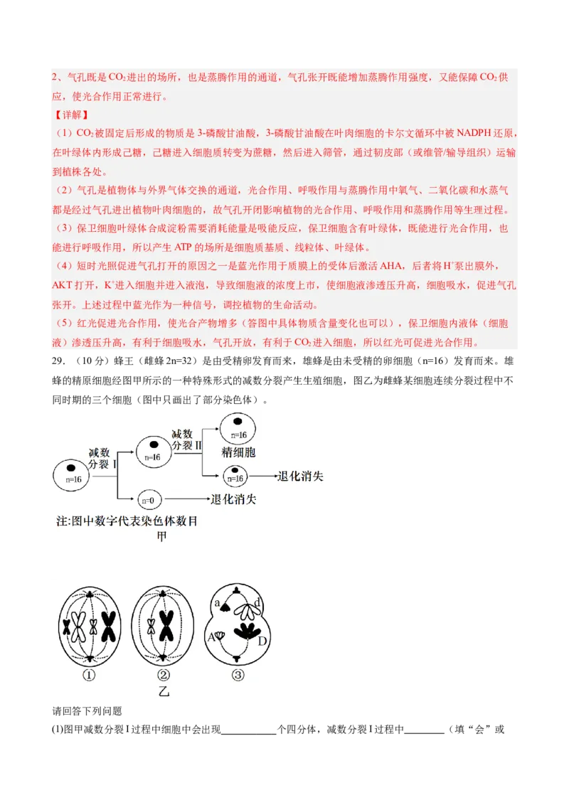 必修1模板检测卷（解析版）_2025年新高考资料_一轮复习_2025年高考生物一轮复习考点通关卷（新高考通用）_必修1模板检测卷-2025年高考生物一轮复习考点通关卷（新高考通用）