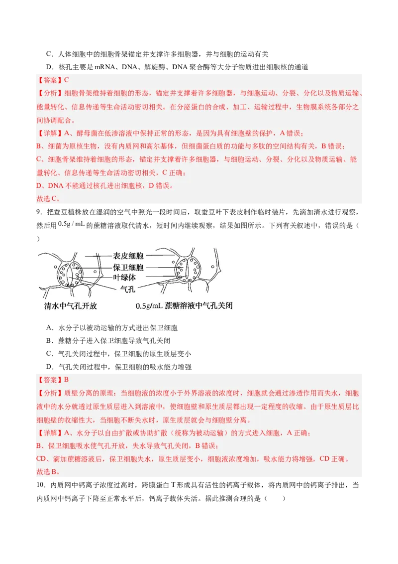 必修1模板检测卷（解析版）_2025年新高考资料_一轮复习_2025年高考生物一轮复习考点通关卷（新高考通用）_必修1模板检测卷-2025年高考生物一轮复习考点通关卷（新高考通用）