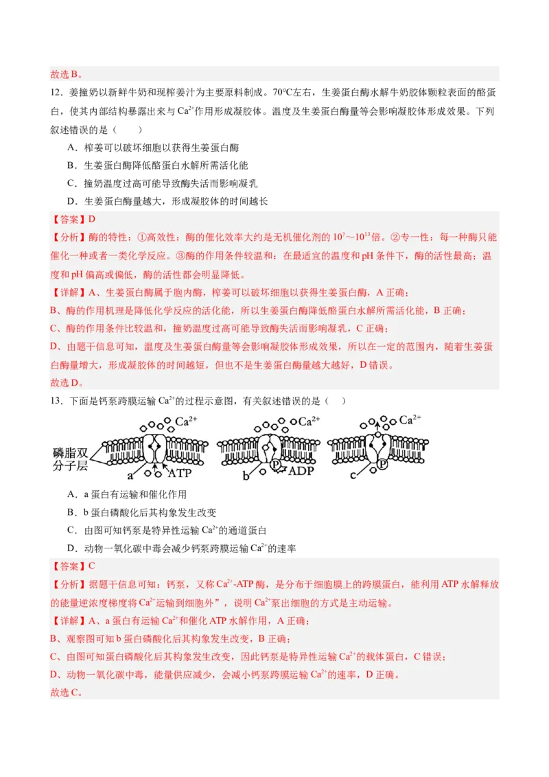 必修1模板检测卷（解析版）_2025年新高考资料_一轮复习_2025年高考生物一轮复习考点通关卷（新高考通用）_必修1模板检测卷-2025年高考生物一轮复习考点通关卷（新高考通用）