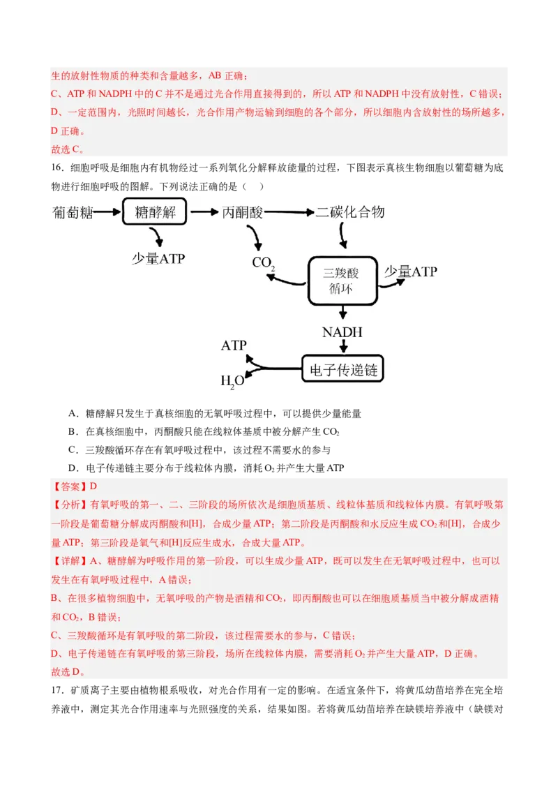 必修1模板检测卷（解析版）_2025年新高考资料_一轮复习_2025年高考生物一轮复习考点通关卷（新高考通用）_必修1模板检测卷-2025年高考生物一轮复习考点通关卷（新高考通用）