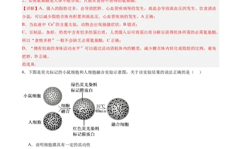 必修1模板检测卷（解析版）_2025年新高考资料_一轮复习_2025年高考生物一轮复习考点通关卷（新高考通用）_必修1模板检测卷-2025年高考生物一轮复习考点通关卷（新高考通用）