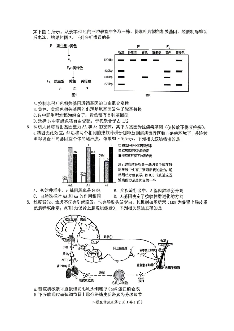 萍乡市2025-2026学年度高三二模考试生物试题卷+答案_2024-2026高三（6-6月题库）_2026年04月高三试卷_260423江西省萍乡市2026年萍乡市高三年级第二次模拟考试(全科）