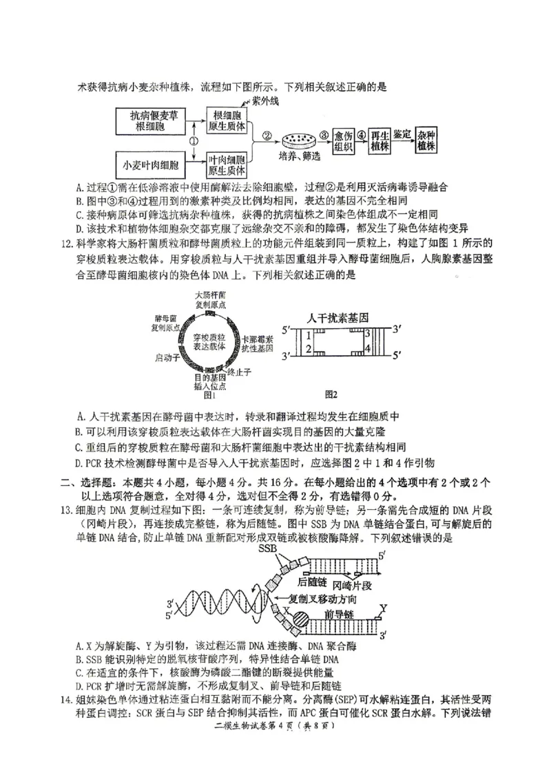 萍乡市2025-2026学年度高三二模考试生物试题卷+答案_2024-2026高三（6-6月题库）_2026年04月高三试卷_260423江西省萍乡市2026年萍乡市高三年级第二次模拟考试(全科）