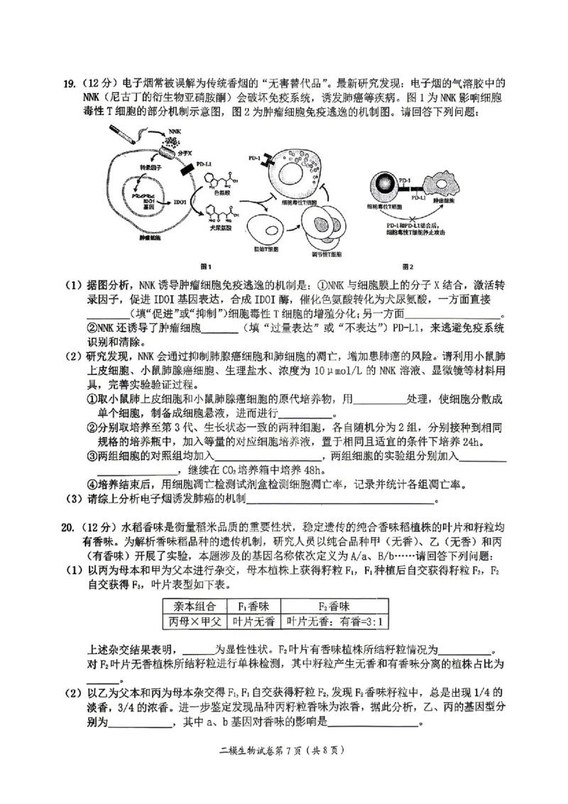 萍乡市2025-2026学年度高三二模考试生物试题卷+答案_2024-2026高三（6-6月题库）_2026年04月高三试卷_260423江西省萍乡市2026年萍乡市高三年级第二次模拟考试(全科）