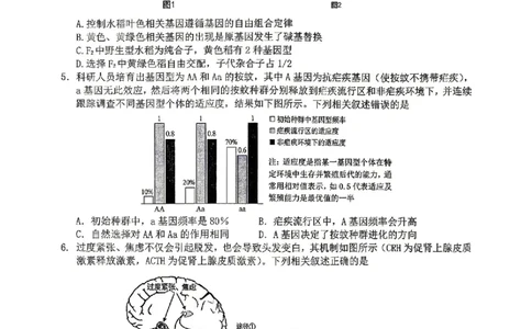 萍乡市2025-2026学年度高三二模考试生物试题卷+答案_2024-2026高三（6-6月题库）_2026年04月高三试卷_260423江西省萍乡市2026年萍乡市高三年级第二次模拟考试(全科）
