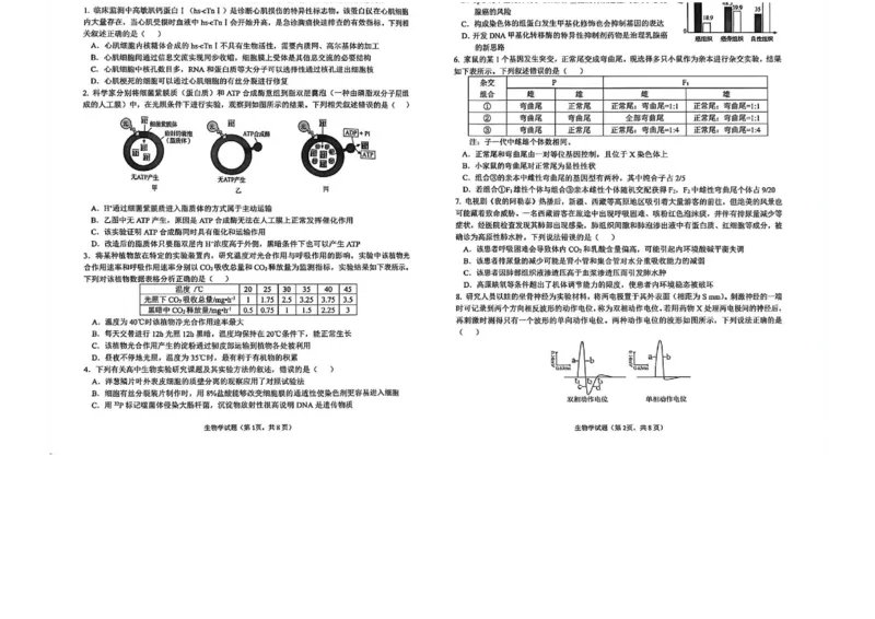 安徽省铜陵、黄山、宣城（三市二模）2026届高三4月份质量检测（全）-生物试题_2024-2026高三（6-6月题库）_2026年04月高三试卷
