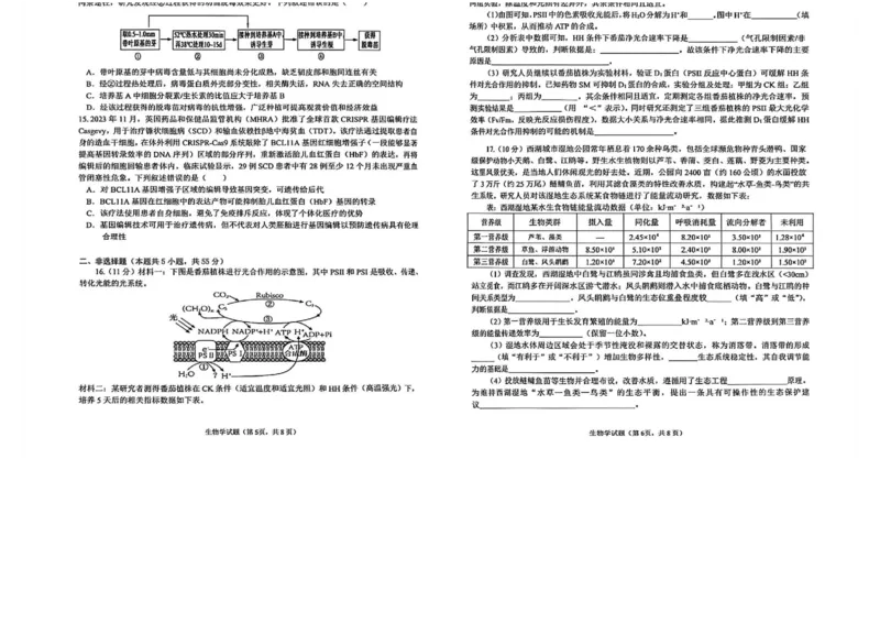 安徽省铜陵、黄山、宣城（三市二模）2026届高三4月份质量检测（全）-生物试题_2024-2026高三（6-6月题库）_2026年04月高三试卷