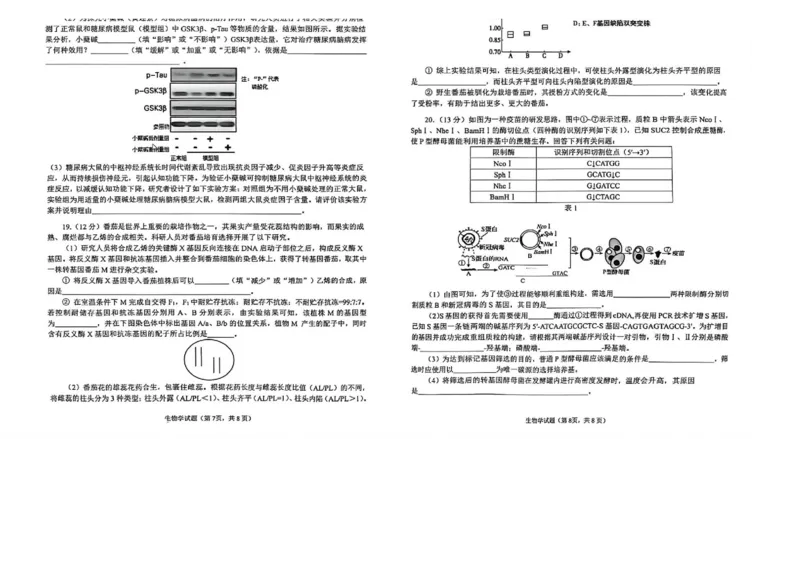 安徽省铜陵、黄山、宣城（三市二模）2026届高三4月份质量检测（全）-生物试题_2024-2026高三（6-6月题库）_2026年04月高三试卷