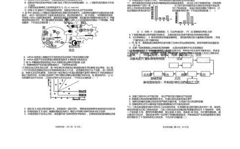 安徽省铜陵、黄山、宣城（三市二模）2026届高三4月份质量检测（全）-生物试题_2024-2026高三（6-6月题库）_2026年04月高三试卷