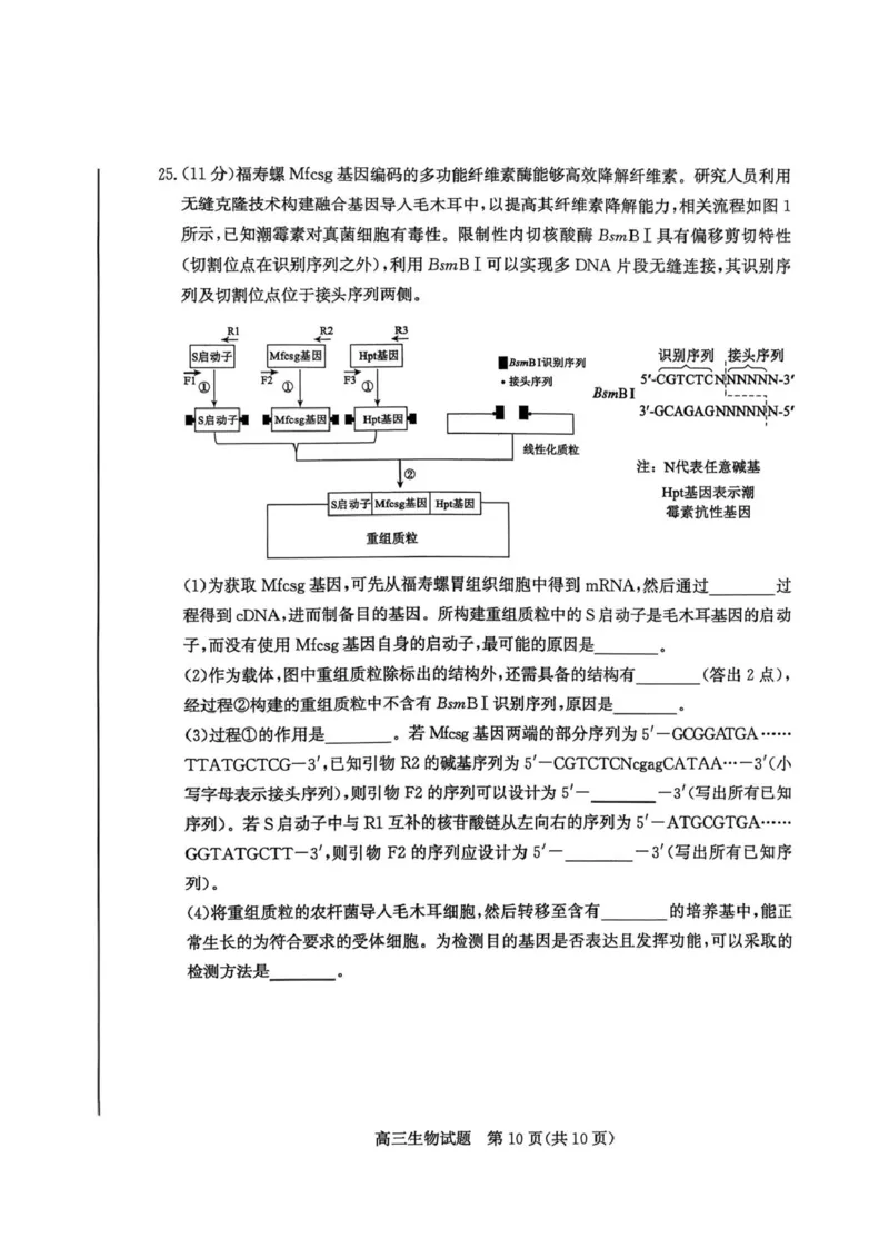 山东省枣庄市2026高三第二次调研考试生物试卷（扫描版，无答案）_2024-2026高三（6-6月题库）_2026年03月高三试卷_260329山东省枣庄市2026届高三3月模拟考试（二调）（全科）_生物