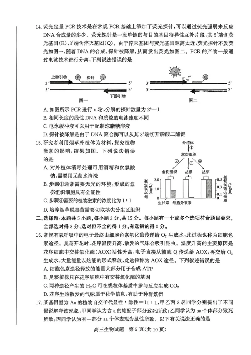 山东省枣庄市2026高三第二次调研考试生物试卷（扫描版，无答案）_2024-2026高三（6-6月题库）_2026年03月高三试卷_260329山东省枣庄市2026届高三3月模拟考试（二调）（全科）_生物