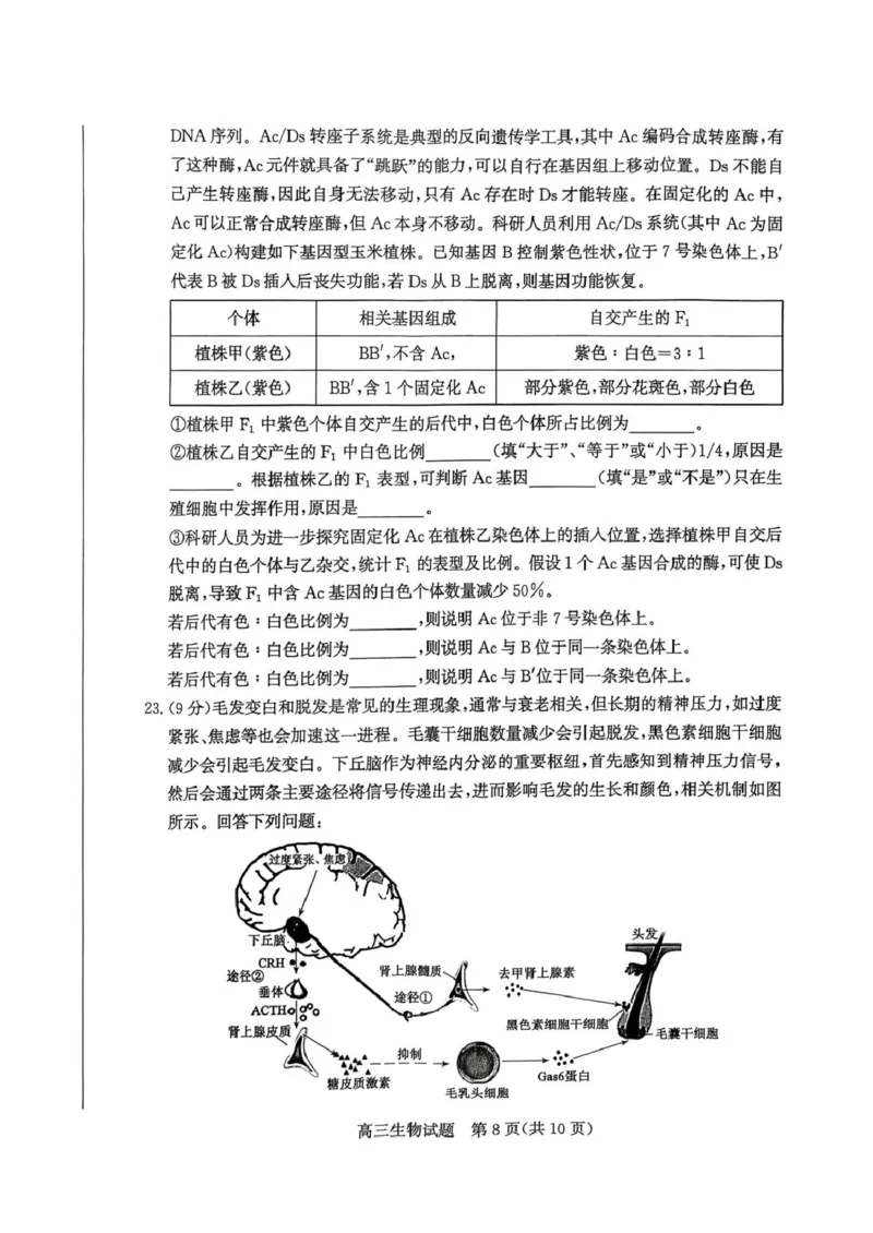 山东省枣庄市2026高三第二次调研考试生物试卷（扫描版，无答案）_2024-2026高三（6-6月题库）_2026年03月高三试卷_260329山东省枣庄市2026届高三3月模拟考试（二调）（全科）_生物