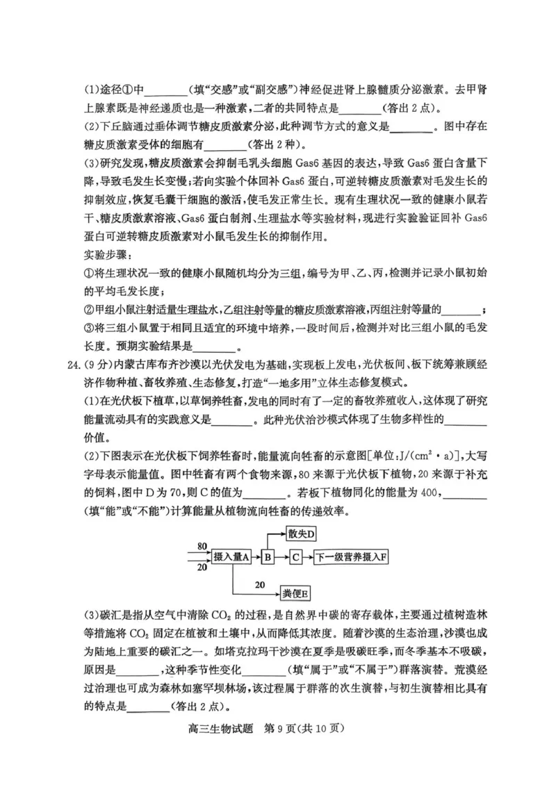 山东省枣庄市2026高三第二次调研考试生物试卷（扫描版，无答案）_2024-2026高三（6-6月题库）_2026年03月高三试卷_260329山东省枣庄市2026届高三3月模拟考试（二调）（全科）_生物