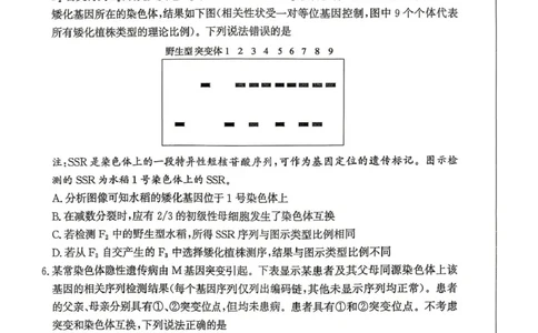 山东省枣庄市2026高三第二次调研考试生物试卷（扫描版，无答案）_2024-2026高三（6-6月题库）_2026年03月高三试卷_260329山东省枣庄市2026届高三3月模拟考试（二调）（全科）_生物