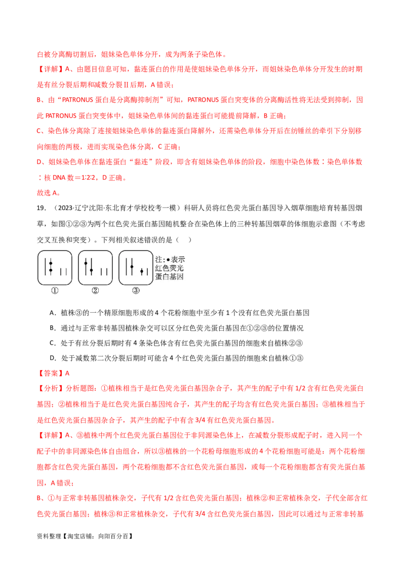 必修2遗传与进化测试卷（解析版）_新高考复习资料_2024年新高考复习资料_一轮复习资料_完备战2024年高考生物一轮复习考点帮（新高考）_必修2