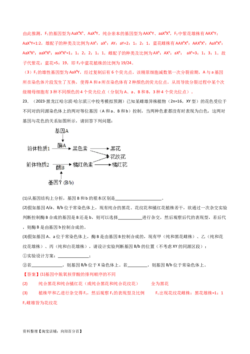 必修2遗传与进化测试卷（解析版）_新高考复习资料_2024年新高考复习资料_一轮复习资料_完备战2024年高考生物一轮复习考点帮（新高考）_必修2