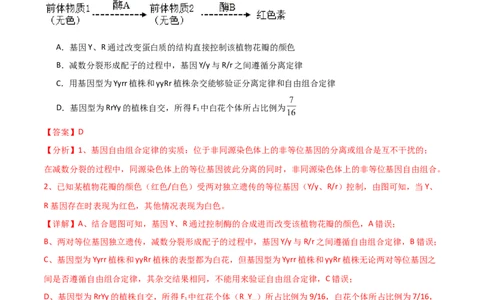 必修2遗传与进化测试卷（解析版）_新高考复习资料_2024年新高考复习资料_一轮复习资料_完备战2024年高考生物一轮复习考点帮（新高考）_必修2